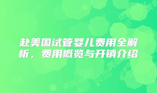 赴美国试管婴儿费用全解析，费用概览与开销介绍