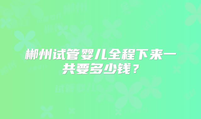 郴州试管婴儿全程下来一共要多少钱？