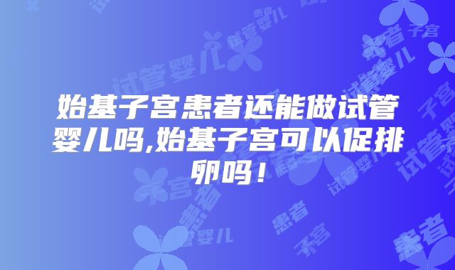 始基子宫患者还能做试管婴儿吗,始基子宫可以促排卵吗!