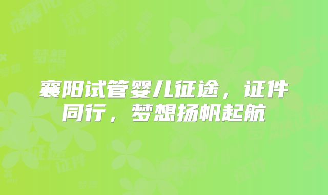 襄阳试管婴儿征途，证件同行，梦想扬帆起航