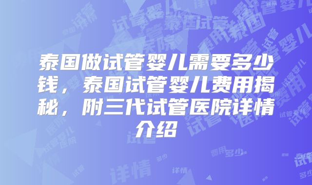 泰国做试管婴儿需要多少钱，泰国试管婴儿费用揭秘，附三代试管医院详情介绍