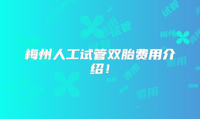 梅州人工试管双胎费用介绍!