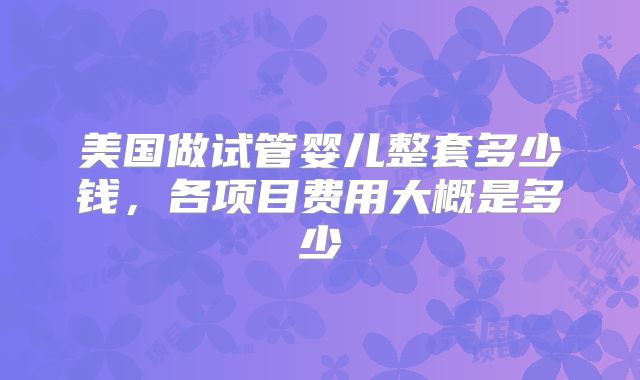 美国做试管婴儿整套多少钱，各项目费用大概是多少
