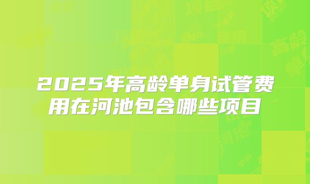 2025年高龄单身试管费用在河池包含哪些项目