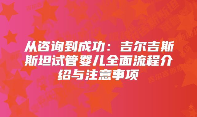 从咨询到成功:吉尔吉斯斯坦试管婴儿全面流程介绍与注意事项