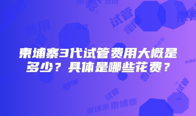 柬埔寨3代试管费用大概是多少？具体是哪些花费？