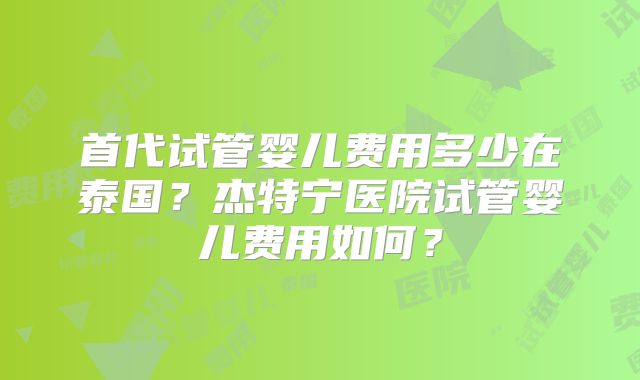 首代试管婴儿费用多少在泰国？杰特宁医院试管婴儿费用如何？