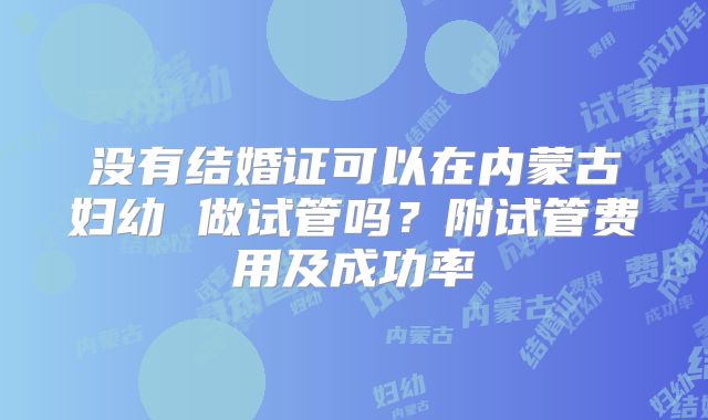 没有结婚证可以在内蒙古妇幼 做试管吗？附试管费用及成功率