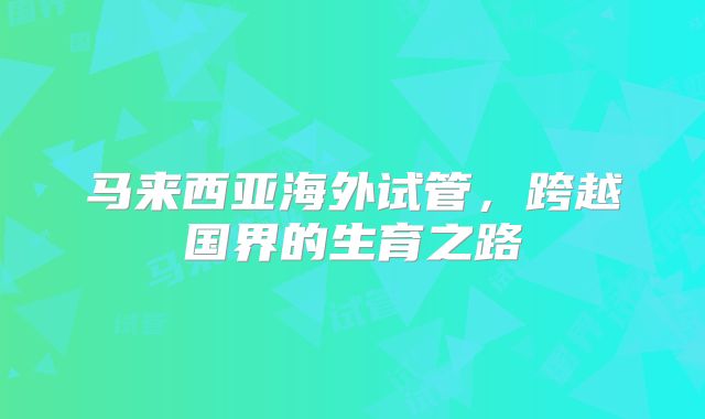 马来西亚海外试管，跨越国界的生育之路