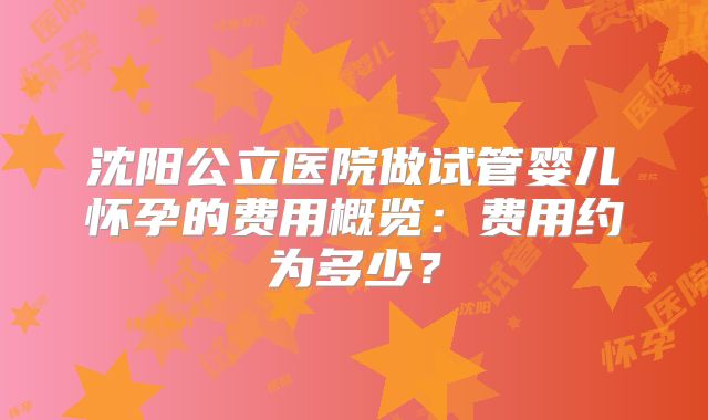 沈阳公立医院做试管婴儿怀孕的费用概览：费用约为多少？