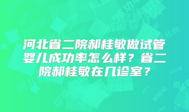 河北省二院郝桂敏做试管婴儿成功率怎么样？省二院郝桂敏在几诊室？
