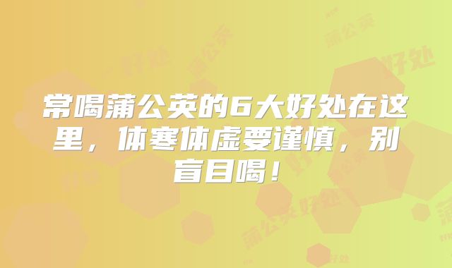 常喝蒲公英的6大好处在这里,体寒体虚要谨慎,别盲目喝!