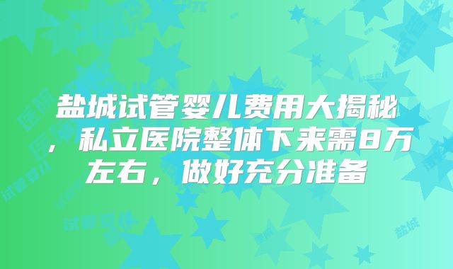 盐城试管婴儿费用大揭秘，私立医院整体下来需8万左右，做好充分准备