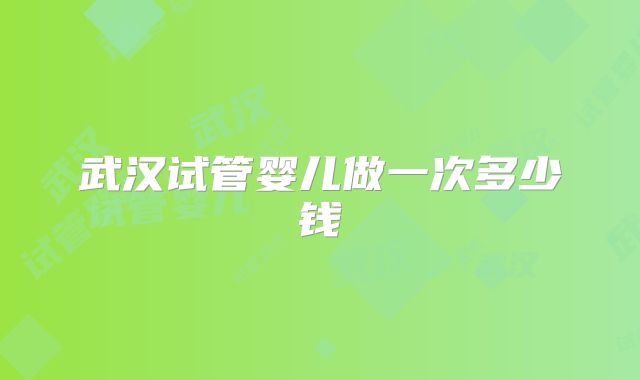 武汉试管婴儿做一次多少钱