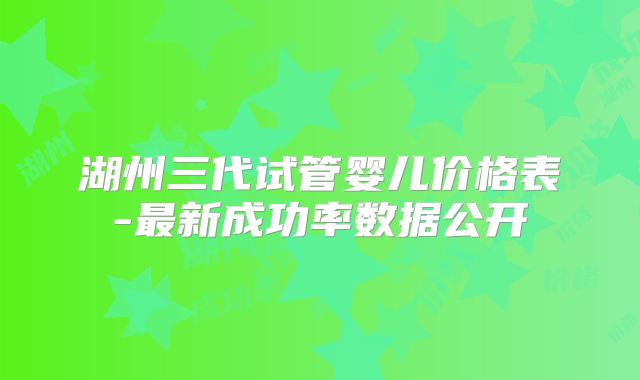 湖州三代试管婴儿价格表-最新成功率数据公开