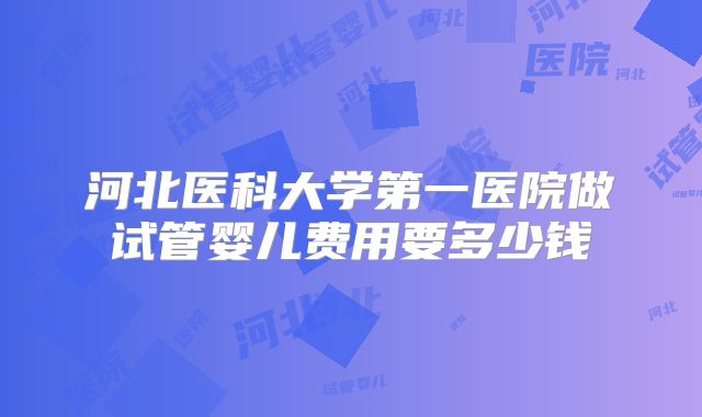 河北医科大学第一医院做试管婴儿费用要多少钱