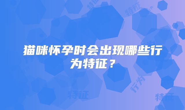 猫咪怀孕时会出现哪些行为特征？