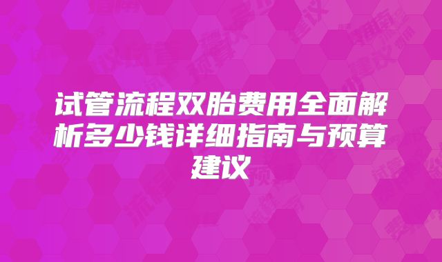 试管流程双胎费用全面解析多少钱详细指南与预算建议