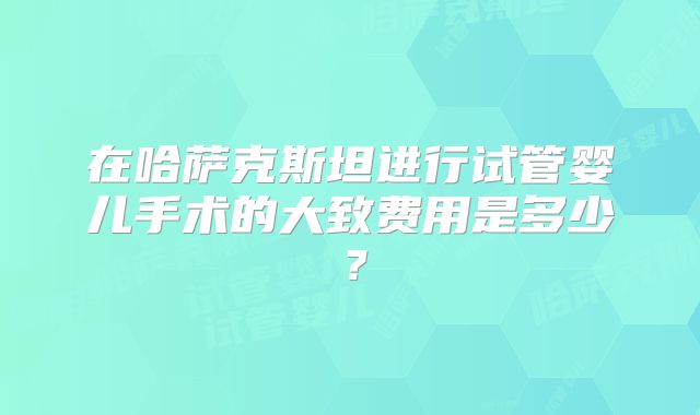 在哈萨克斯坦进行试管婴儿手术的大致费用是多少？