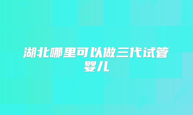 湖北哪里可以做三代试管婴儿