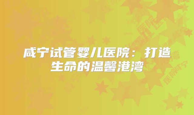 咸宁试管婴儿医院：打造生命的温馨港湾