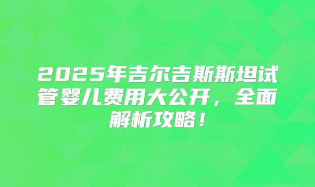 2025年吉尔吉斯斯坦试管婴儿费用大公开，全面解析攻略！