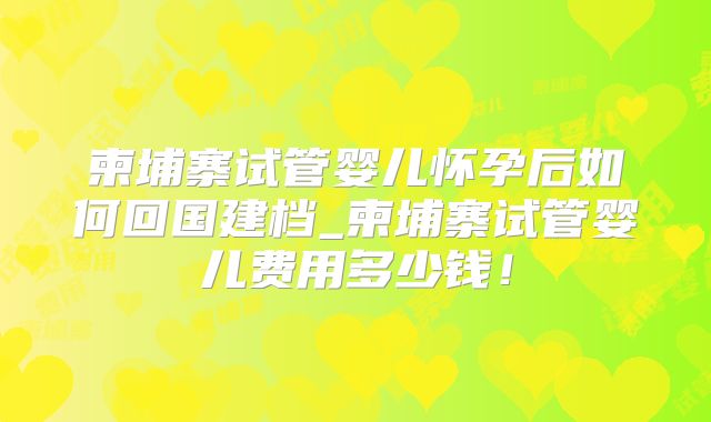 柬埔寨试管婴儿怀孕后如何回国建档_柬埔寨试管婴儿费用多少钱！