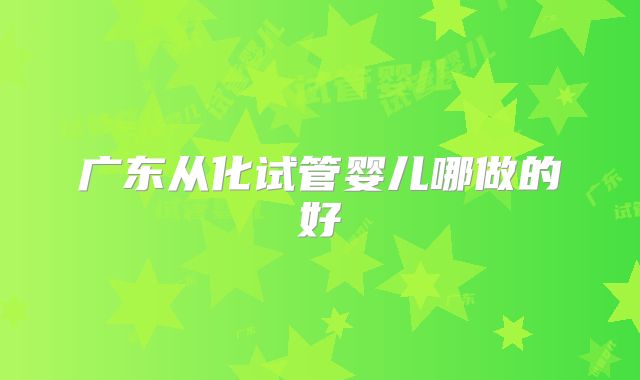 广东从化试管婴儿哪做的好