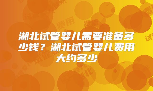 湖北试管婴儿需要准备多少钱？湖北试管婴儿费用大约多少