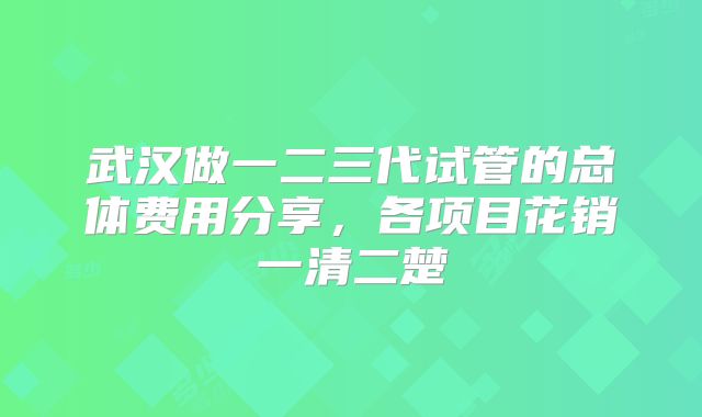 武汉做一二三代试管的总体费用分享,各项目花销一清二楚