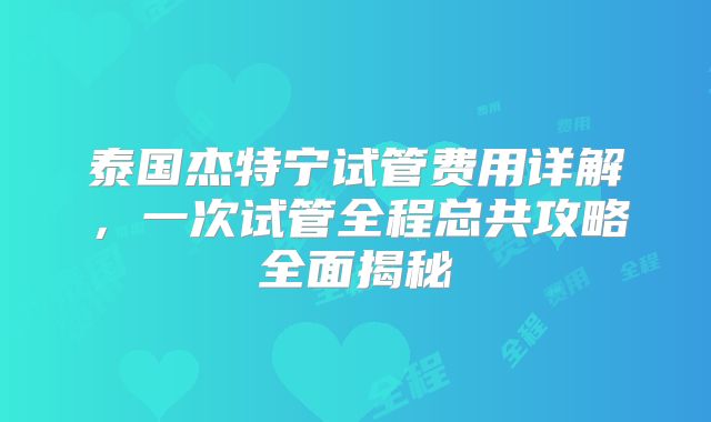 泰国杰特宁试管费用详解，一次试管全程总共攻略全面揭秘
