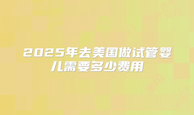 2025年去美国做试管婴儿需要多少费用