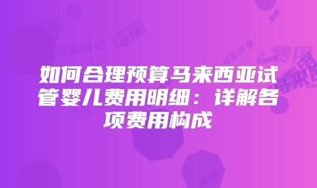 如何合理预算马来西亚试管婴儿费用明细：详解各项费用构成