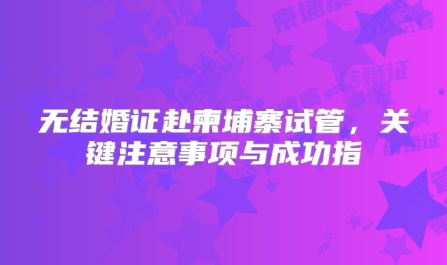 无结婚证赴柬埔寨试管，关键注意事项与成功指