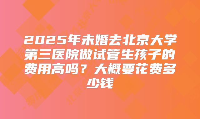 2025年未婚去北京大学第三医院做试管生孩子的费用高吗?大概要花费多少钱