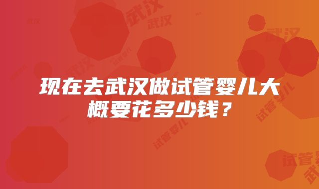 现在去武汉做试管婴儿大概要花多少钱？