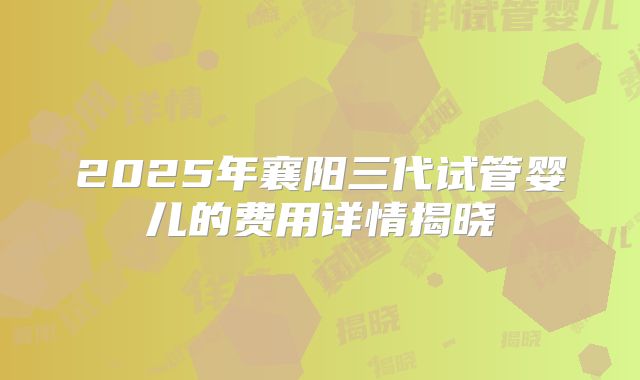 2025年襄阳三代试管婴儿的费用详情揭晓