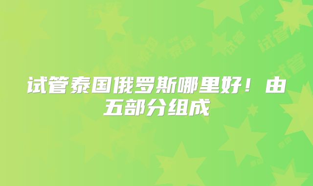 试管泰国俄罗斯哪里好！由五部分组成