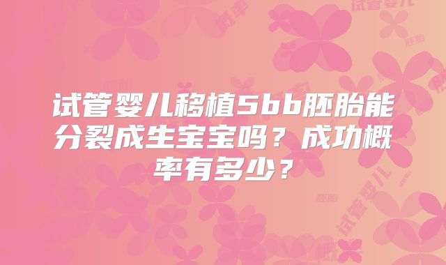 试管婴儿移植5bb胚胎能分裂成生宝宝吗？成功概率有多少？