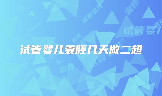 试管婴儿囊胚几天做二超