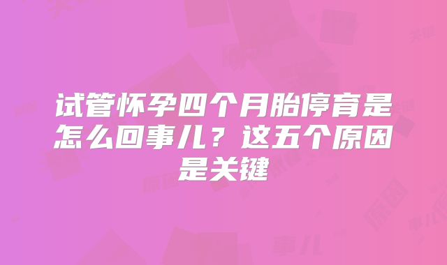 试管怀孕四个月胎停育是怎么回事儿？这五个原因是关键