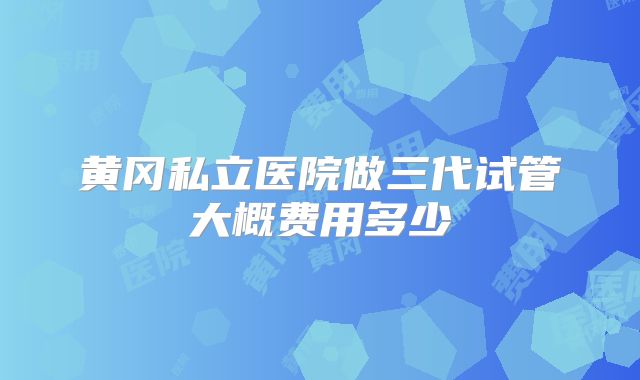 黄冈私立医院做三代试管大概费用多少