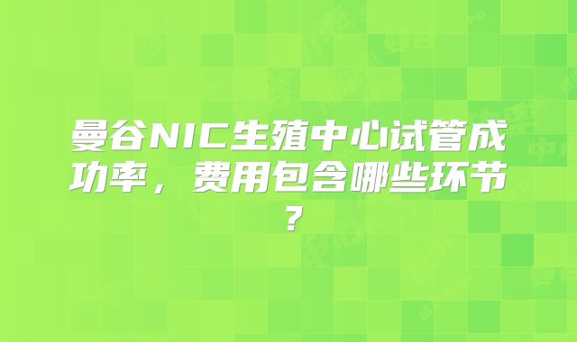 曼谷NIC生殖中心试管成功率，费用包含哪些环节？