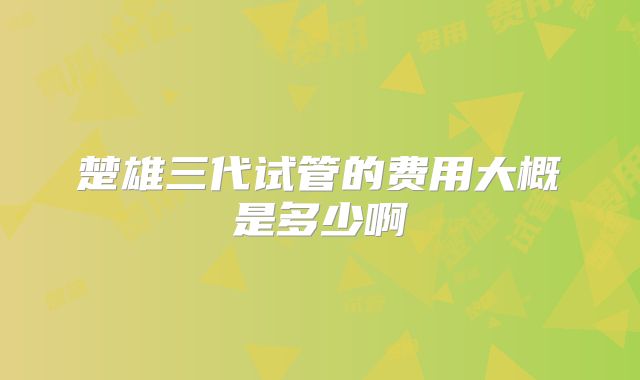 楚雄三代试管的费用大概是多少啊