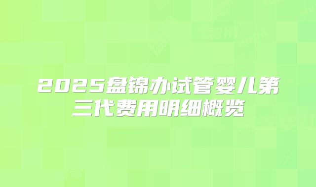 2025盘锦办试管婴儿第三代费用明细概览