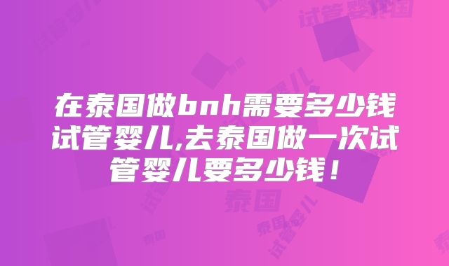 在泰国做bnh需要多少钱试管婴儿,去泰国做一次试管婴儿要多少钱！