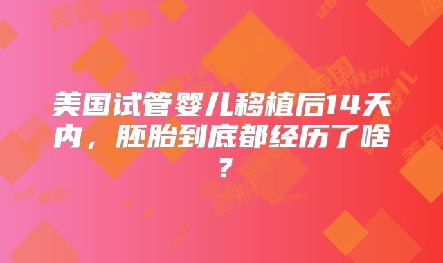 美国试管婴儿移植后14天内，胚胎到底都经历了啥？