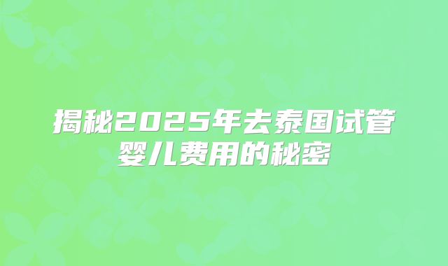 揭秘2025年去泰国试管婴儿费用的秘密