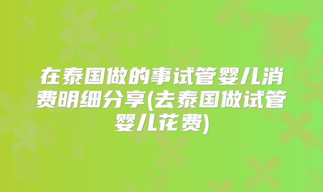 在泰国做的事试管婴儿消费明细分享(去泰国做试管婴儿花费)