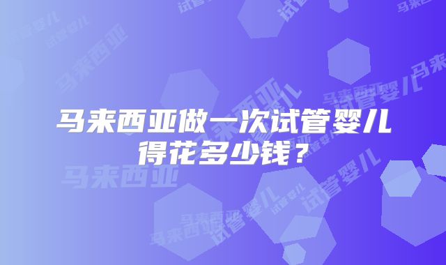 马来西亚做一次试管婴儿得花多少钱？